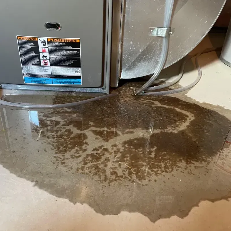 Appliance Leak Cleanup in Meridian Station, MS