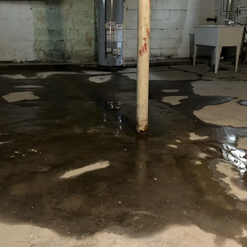 Emergency Water Extraction And Removal in Meridian Station, MS